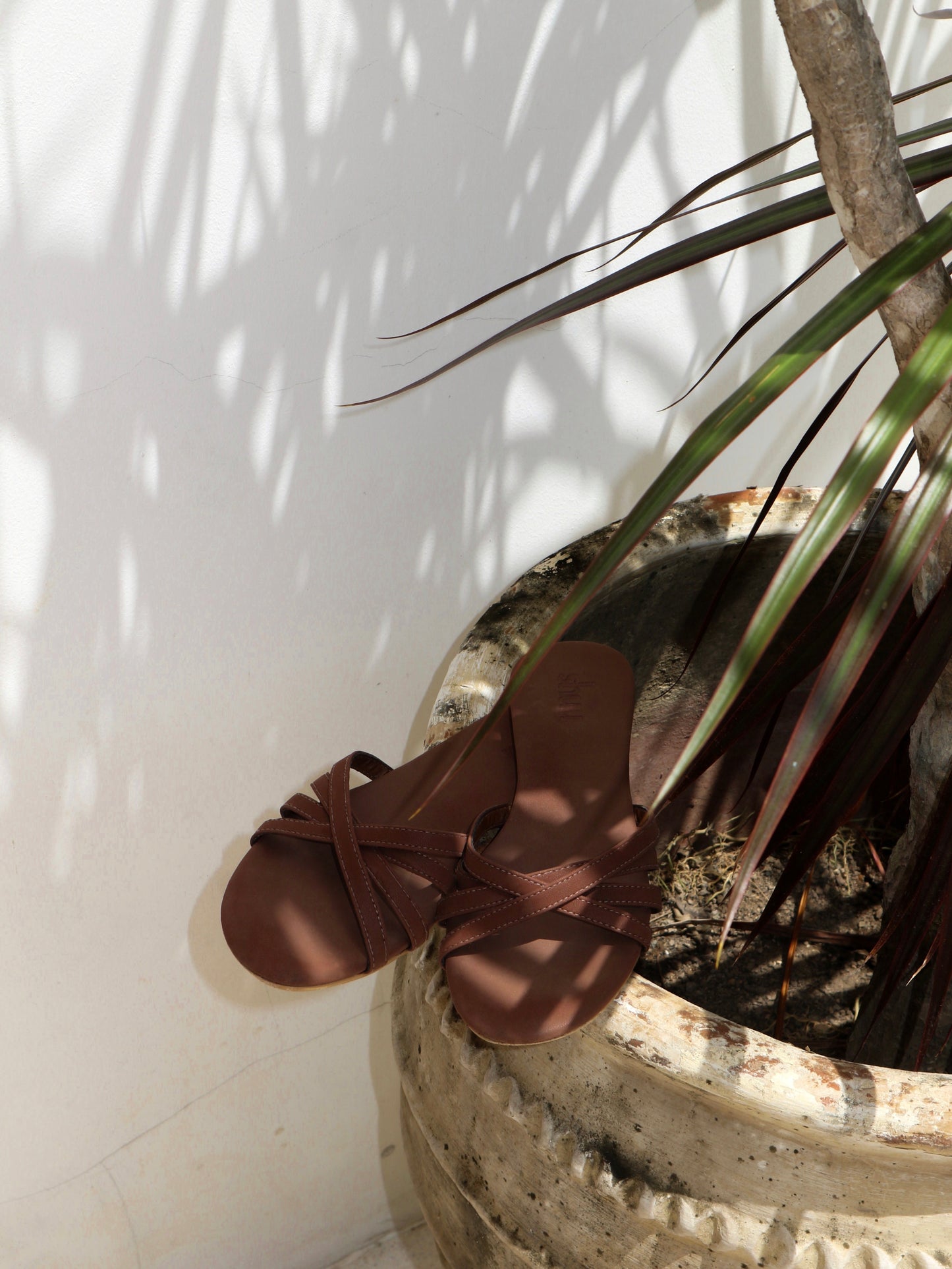 Donna Flat Sandals in Fig Brown