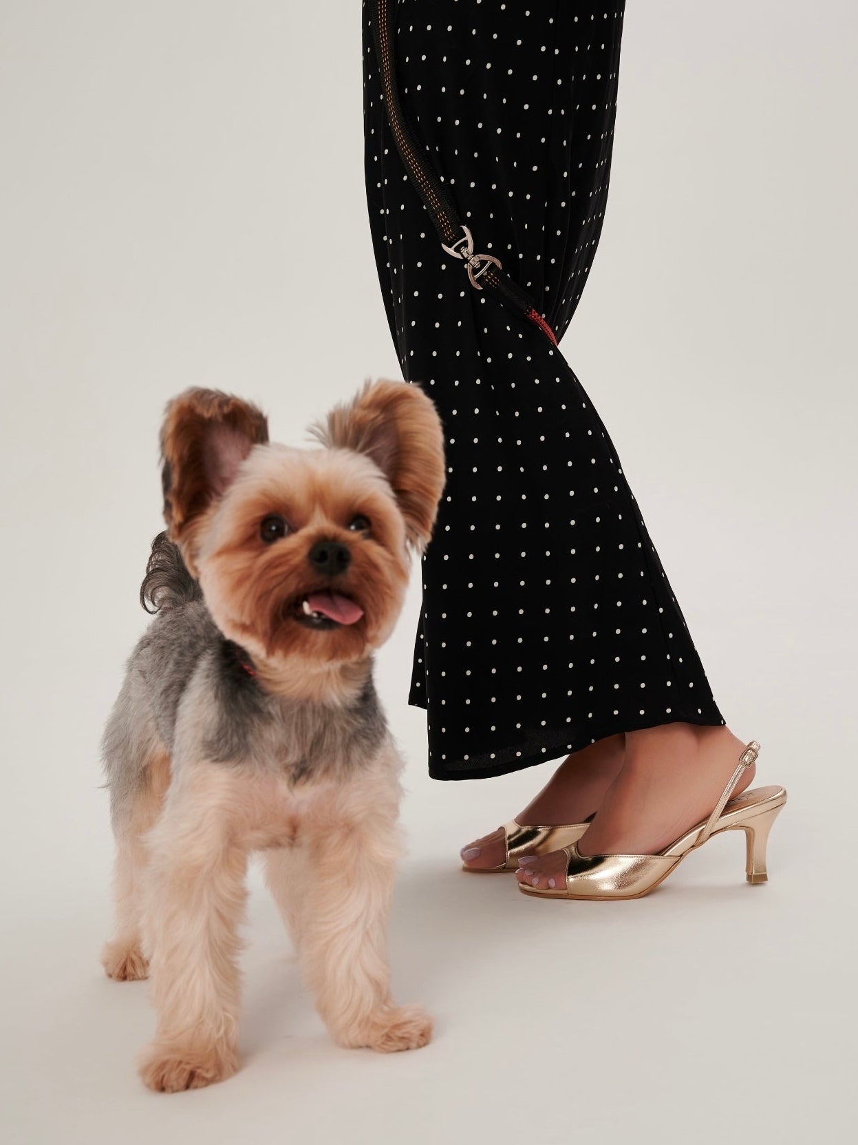 Simone Metallic Heels in Gold